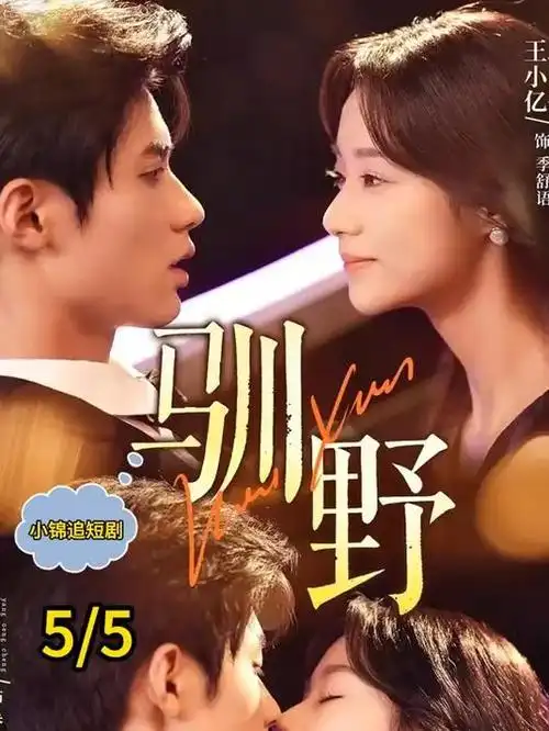 总裁的隐婚妻短剧封面